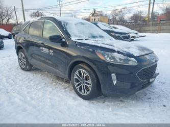 FORD ESCAPE SEL