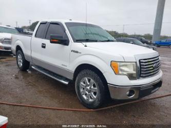 FORD F-150 XLT