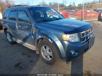 FORD ESCAPE XLT