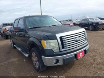 FORD F-150 FX2 SPORT/XL/XLT