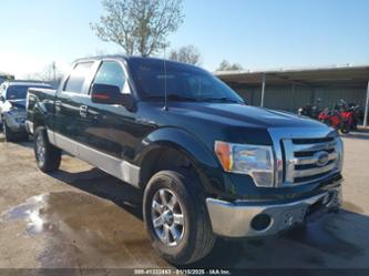 FORD F-150 XLT