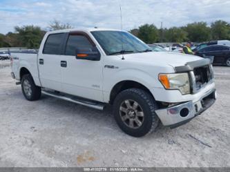 FORD F-150 XLT