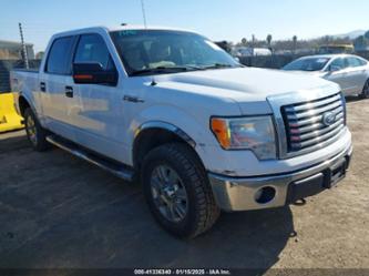 FORD F-150 XLT