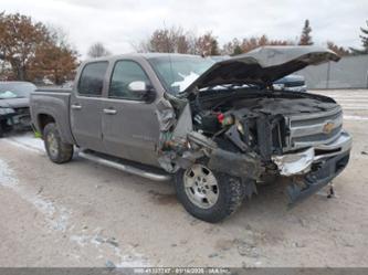 CHEVROLET SILVERADO 1500 LT