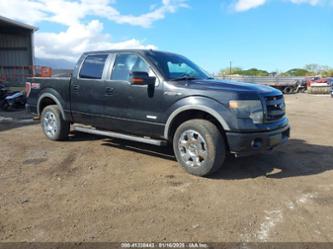 FORD F-150 FX4