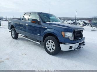 FORD F-150 XLT