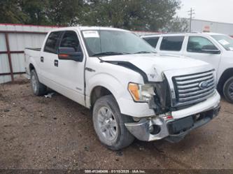 FORD F-150 XLT