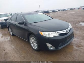 TOYOTA CAMRY XLE V6