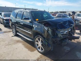 CADILLAC ESCALADE LUXURY