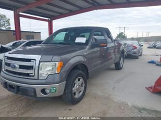 FORD F-150 XLT