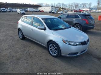 KIA FORTE EX