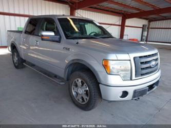 FORD F-150 FX4/HARLEY-DAVIDSON/KING RANCH/LARIAT/PLATINUM/XL/XLT