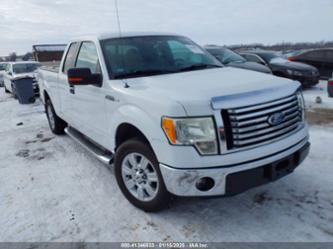 FORD F-150 XLT