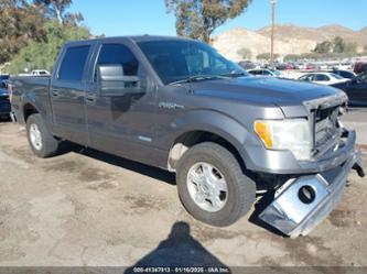 FORD F-150 XLT