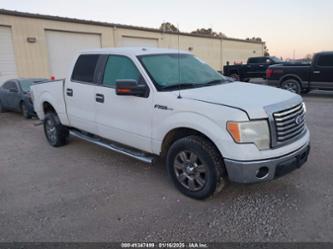 FORD F-150 XLT