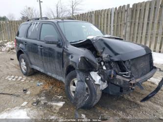 FORD ESCAPE XLT