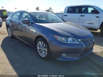 LEXUS ES 300H