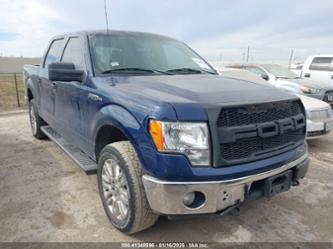 FORD F-150 XLT