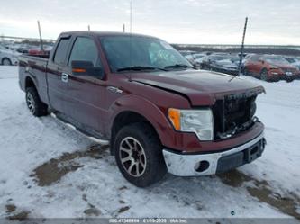 FORD F-150 FX2 SPORT/LARIAT/XL/XLT