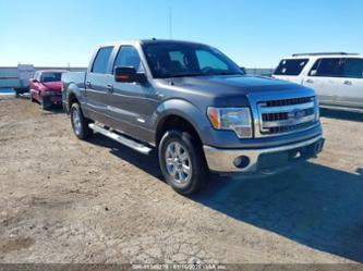 FORD F-150 XLT