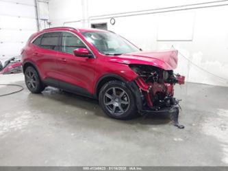 FORD ESCAPE SEL