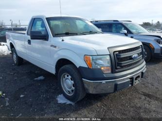 FORD F-150 XL