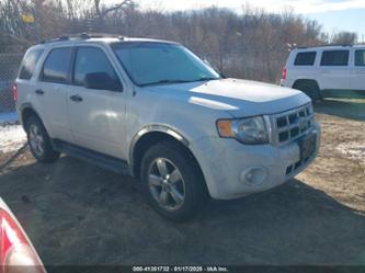 FORD ESCAPE XLT