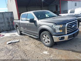 FORD F-150 XLT