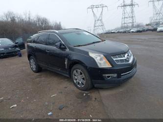 CADILLAC SRX LUXURY COLLECTION