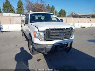 FORD F-150 XL