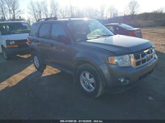 FORD ESCAPE XLT