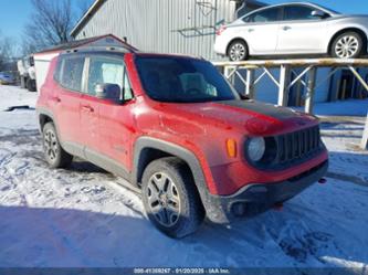 JEEP RENEGADE TRAILHAWK