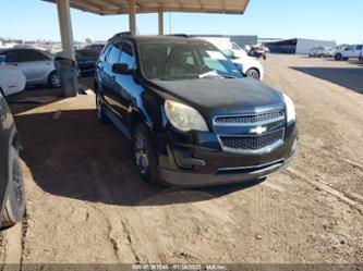 CHEVROLET EQUINOX 1LT