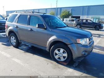 FORD ESCAPE XLT