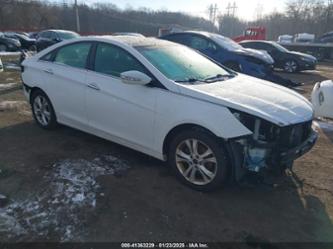 HYUNDAI SONATA SE/LIMITED