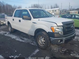 FORD F-150 XL