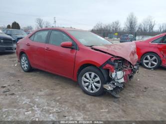 TOYOTA COROLLA LE