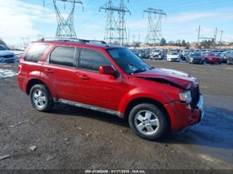 FORD ESCAPE LIMITED