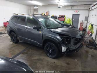 SUBARU FORESTER WILDERNESS