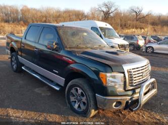 FORD F-150 XLT