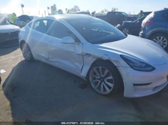 TESLA MODEL 3 LONG RANGE/MID RANGE/STANDARD RANGE PLUS