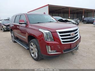 CADILLAC ESCALADE PREMIUM COLLECTION