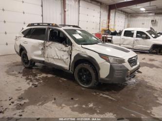 SUBARU OUTBACK WILDERNESS