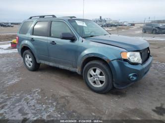 FORD ESCAPE XLT