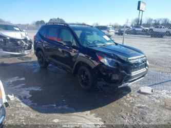 SUBARU FORESTER WILDERNESS