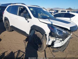 SUBARU FORESTER WILDERNESS