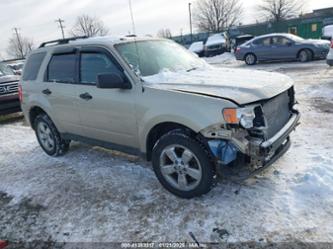 FORD ESCAPE XLT