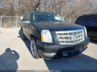 CADILLAC ESCALADE PLATINUM EDITION