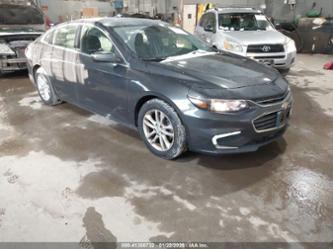 CHEVROLET MALIBU 1LT