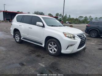 LEXUS GX 460